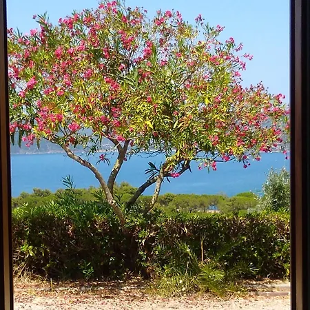 La Casa Sul Tramonto - - Services Included Holiday home Capoliveri (Isola d'Elba)